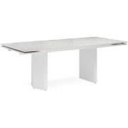 titanium mckinley polished