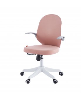 Компьютерное кресло Chairman CH107