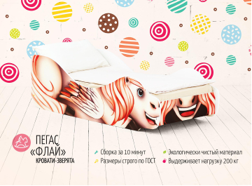 Подростковая кровать Пегас Флай