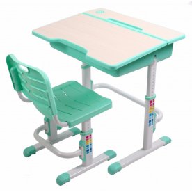 Комплект EVOLIFE Study 2 зеленый