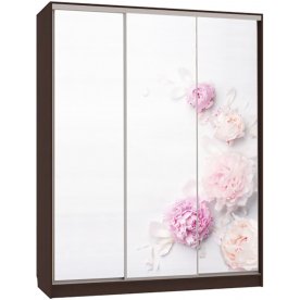 Шкаф-купе Бассо 7