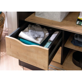 Шкаф-купе детский Black