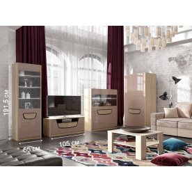 Гостиная Хортен комплектация 2 дуб сонома / мокко глянец