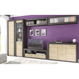 Модульная гостиная Денвер сосна лоредо