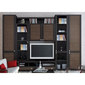 Стенка для гостиной Фиджи (комплектация 16) венге цаво / каналы дуба