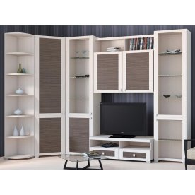 Стенка для гостиной Фиджи (комплектация 23) дуб белфорт / каналы дуба