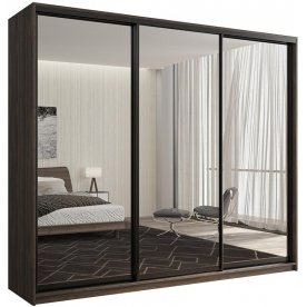 Шкаф-купе Кааппи 1