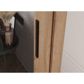 Шкаф-купе Дрим-1 2 м