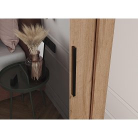 Шкаф-купе Дрим-2 2 м