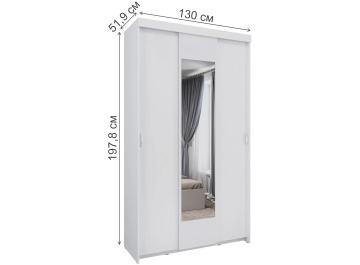 Шкаф-купе Ари-9