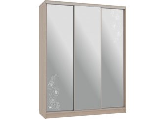 Шкаф-купе Бассо 4-600