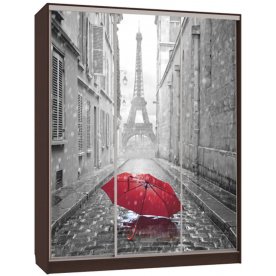 Шкаф-купе Бассо 7