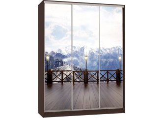 Шкаф-купе Бассо 7