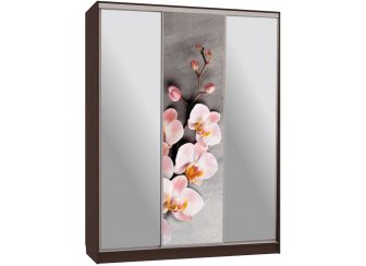 Шкаф-купе Бассо 9-600 78