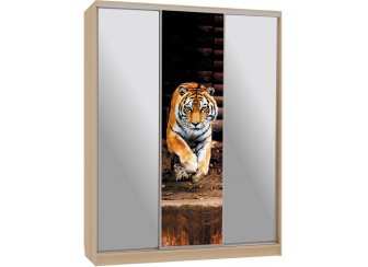 Шкаф-купе Бассо 9-600 87