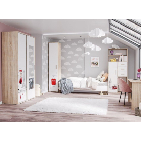 Шкаф-купе Бланка