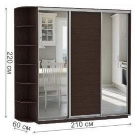Шкаф-купе D3-07 220х60