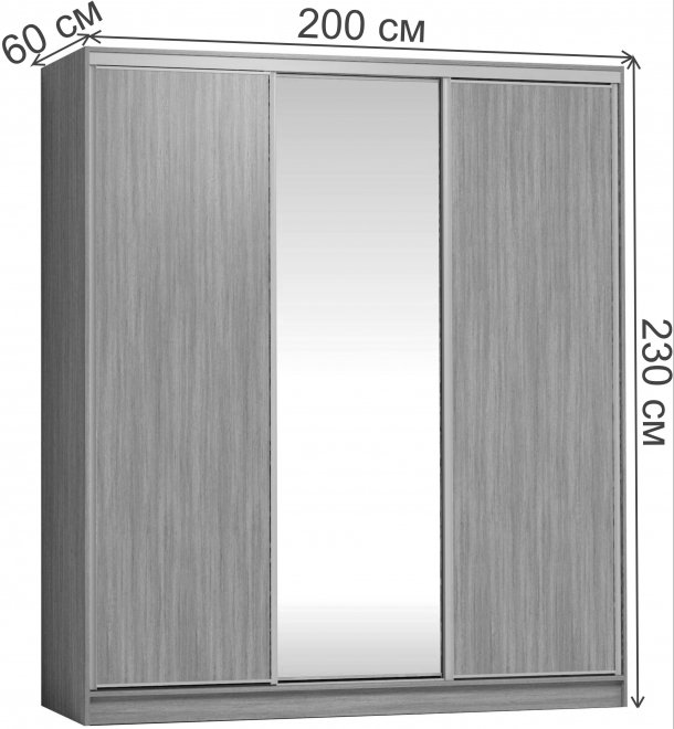 Шкаф-купе Домашний 2000 зеркало / лдсп белый