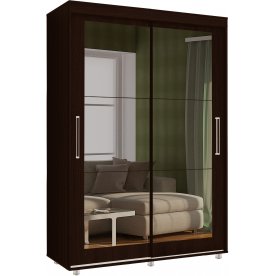 Шкаф-купе Джанг 1.5