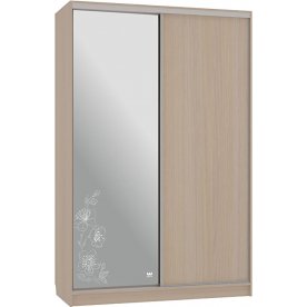 Шкаф-купе Гранд 1-600