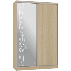 Шкаф-купе Гранд 1-600