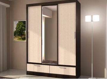 Шкаф-купе арт.009