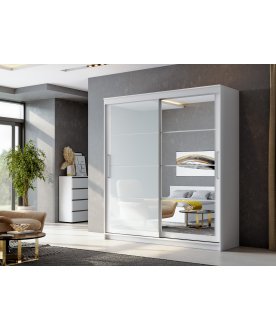 Шкаф-купе Лайн 2