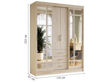 Шкаф-купе Маэстро