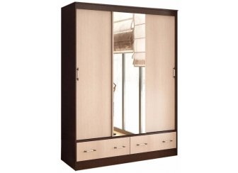 Шкаф-купе Модерн-2