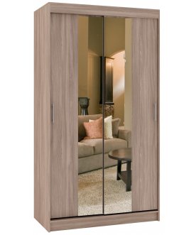 Шкаф-купе Риф 2 ШК.020.1100-23 вариант 4