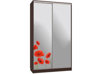 Шкаф-купе Рио 4-600