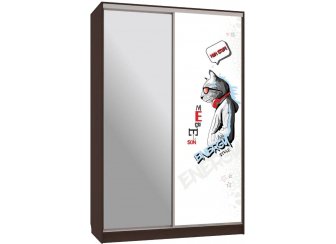 Шкаф-купе Рио 9-600