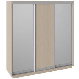 Шкаф-купе Румер 210х60х220