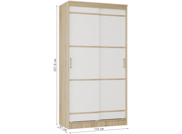Шкаф-купе Сакура 1.14