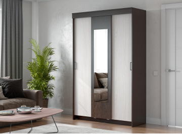 Шкаф-купе Шейла