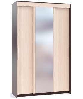 Шкаф-купе ШР-156.2