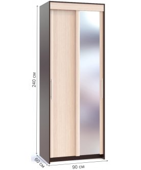 Шкаф-купе ШР-96.1