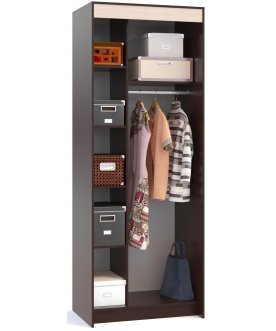 Шкаф-купе ШР-96.2