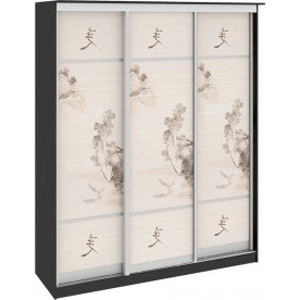 Шкаф-купе Стэн 140.05.005