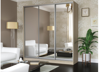 Шкаф-купе Зеркало-3