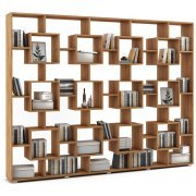 дуб золотистый