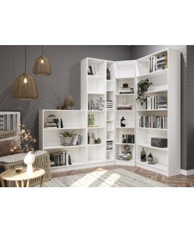 Стеллаж Вилли СУ