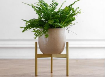 Цветочница Trinity 25