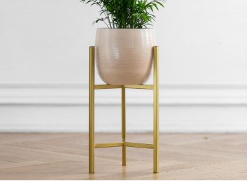 Цветочница Агния 20