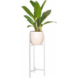 Цветочница Агния 30