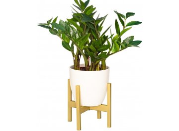 Цветочница Верона 10