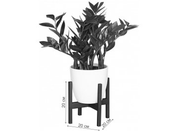 Цветочница Oxalis 20