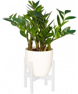 Цветочница Верона 20