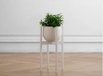 Цветочница Oxalis 40