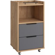 графит / дуб крафт золотой